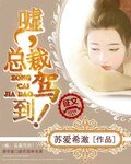 《嘘,总裁驾到!》