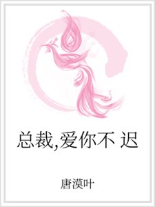 《总裁,爱你不迟》