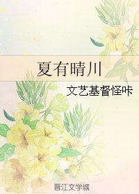 《夏有晴川》