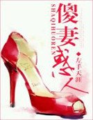 《傻妻惑人 》