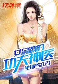 《女总裁的功夫神医》