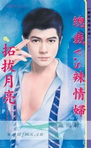 总裁V.S辣情妇(总裁万岁之三)