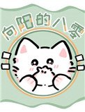 《向阳的八零》