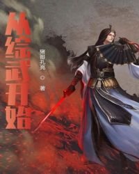 《从综武开始》