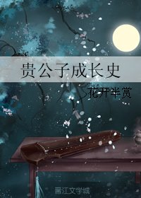 《贵公子成长史》