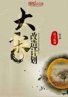 《大宋改造计划》