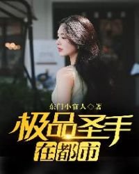 《极品圣手在都市》