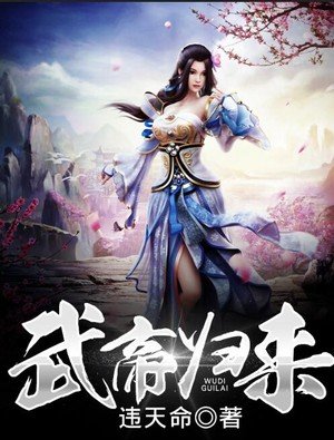 《武帝归来》