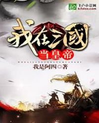 《我在三国当皇帝》