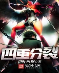 《四重分裂》