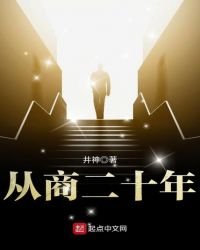 《从商二十年》