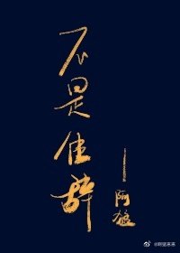 《不是佳辞》