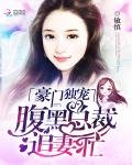 《豪门独宠:腹黑总裁追妻忙》