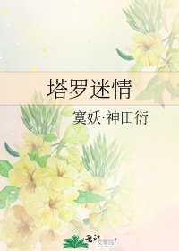 《塔罗迷情》