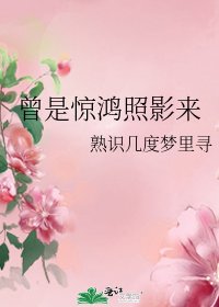 《曾是惊鸿照影来》