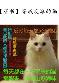《穿成反派的猫》
