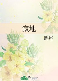《寂地》