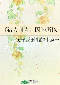 《(猎人同人)因为所以》