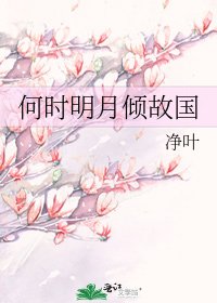 《何时明月倾故国》