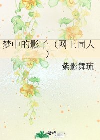 梦中的影子(网王同人)