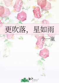 《更吹落,星如雨》