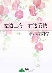 左边上海,右边爱情