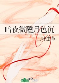 暗夜微醺月色沉