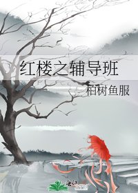 《红楼之辅导班》