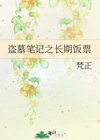 盗墓笔记之厂期饭票