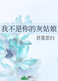 我不是你的灰姑娘