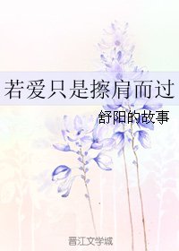 《若爱只是擦肩而过》