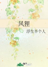 《风狸》