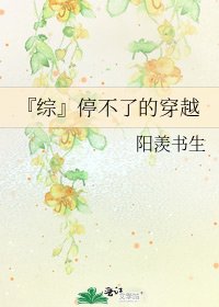 《『综』停不了的穿越》