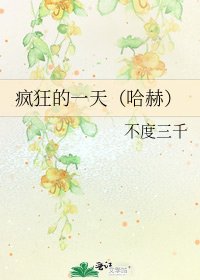 疯狂的一天(哈赫)