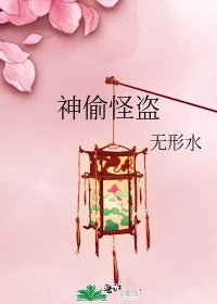 《神偷怪盗》