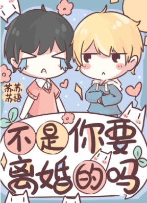 《不是你要离婚的吗》