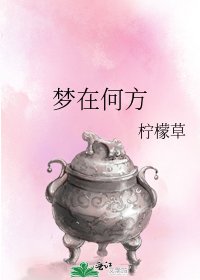 《梦在何方》
