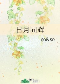 《日月同辉》