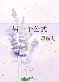 《另一个公式》