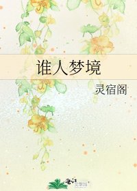 《谁人梦境》