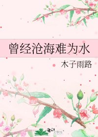 曾经沧海难为水