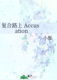 复合路上 Accusation