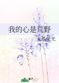 《我的心是荒野》