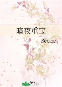《暗夜重宝》