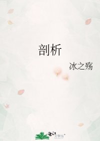 《剖析》