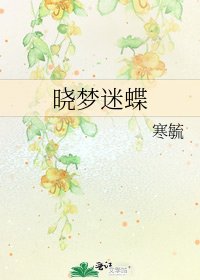 晓梦迷蝶
