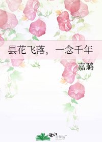 《昙花飞落,一念千年》