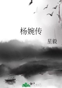 《杨婉传》