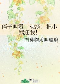 《侄子叫嚣:魂淡!把小姨还我!》