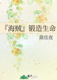 《『海贼』锻造生命》